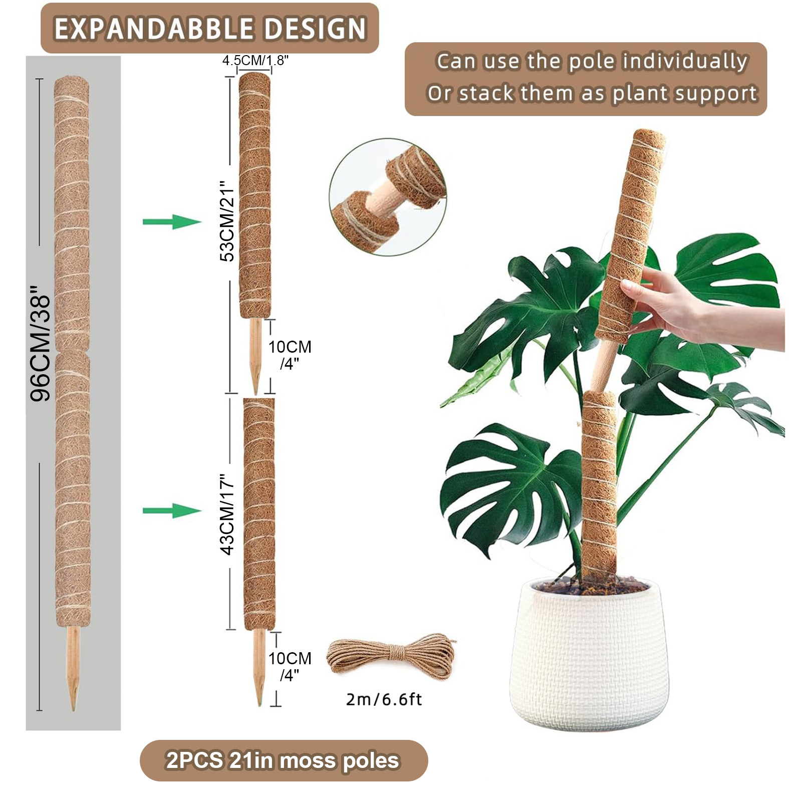 Moss Pole 38/43/53CM Monstera  - Monstera Thai Constellation ulasan dan harga