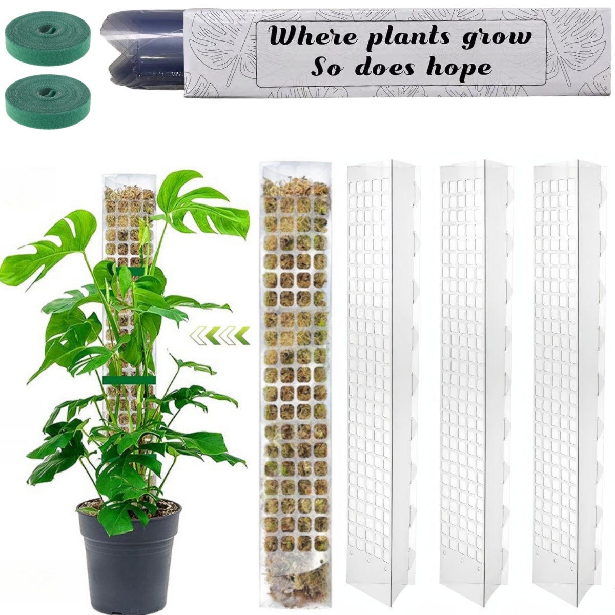Moss Pole Plastic Plant Stand  - Monstera Thai Constellation ulasan dan harga