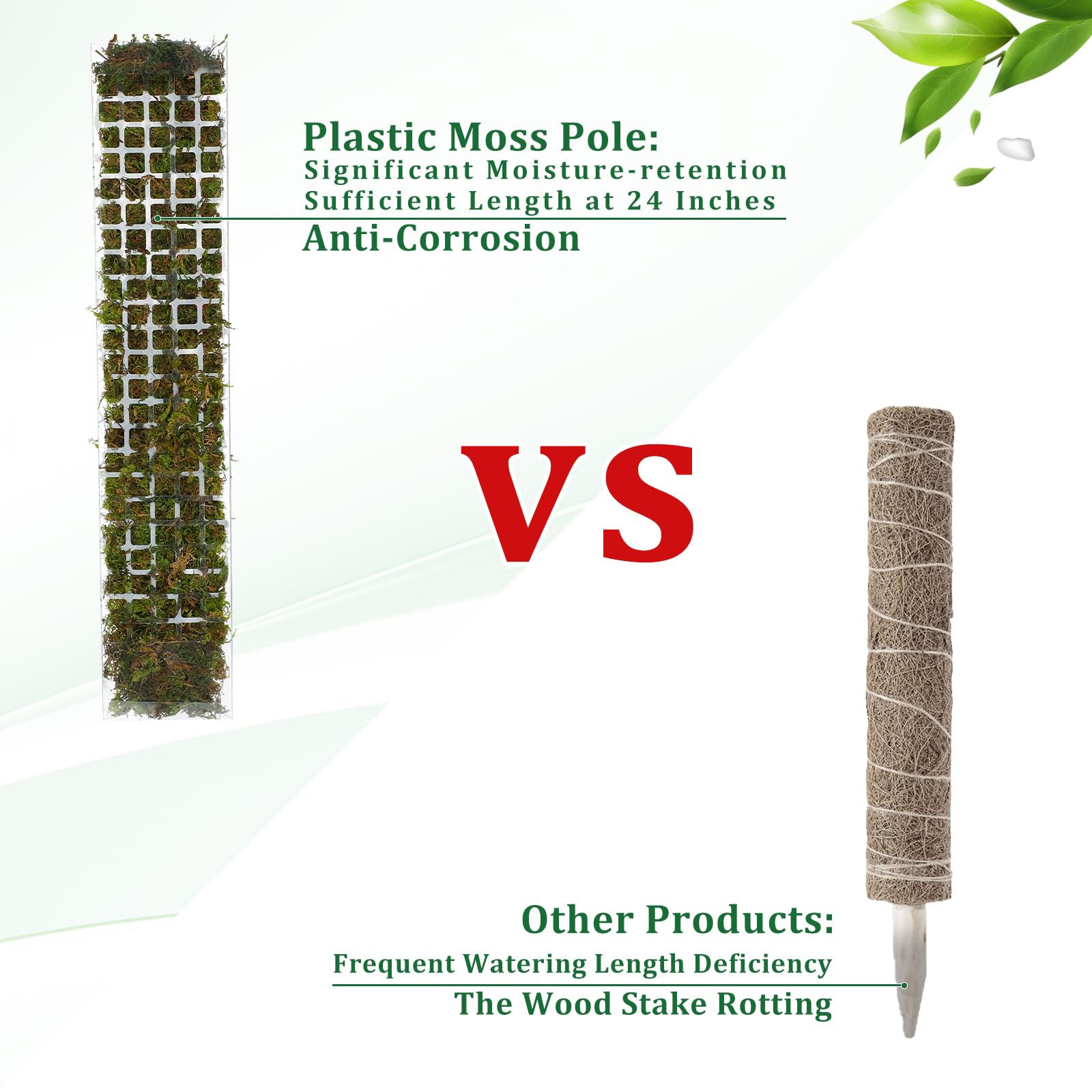 Moss Pole Plastic Plant Stand  - Monstera Thai Constellation ulasan dan harga