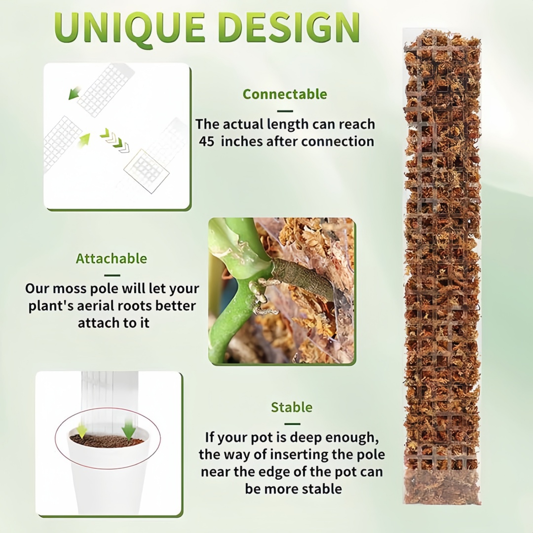 Moss Pole Plastic Plant Stand  - Monstera Thai Constellation ulasan dan harga