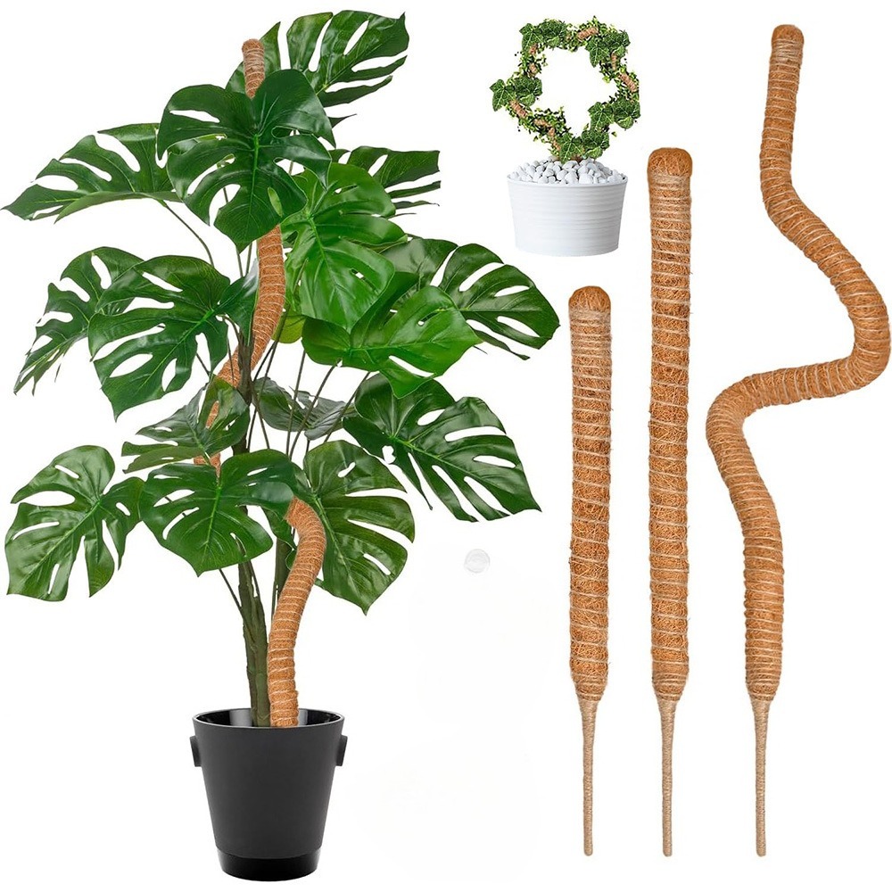 30-100cm Bendable Plants Climb - Monstera Thai Constellation ulasan dan harga