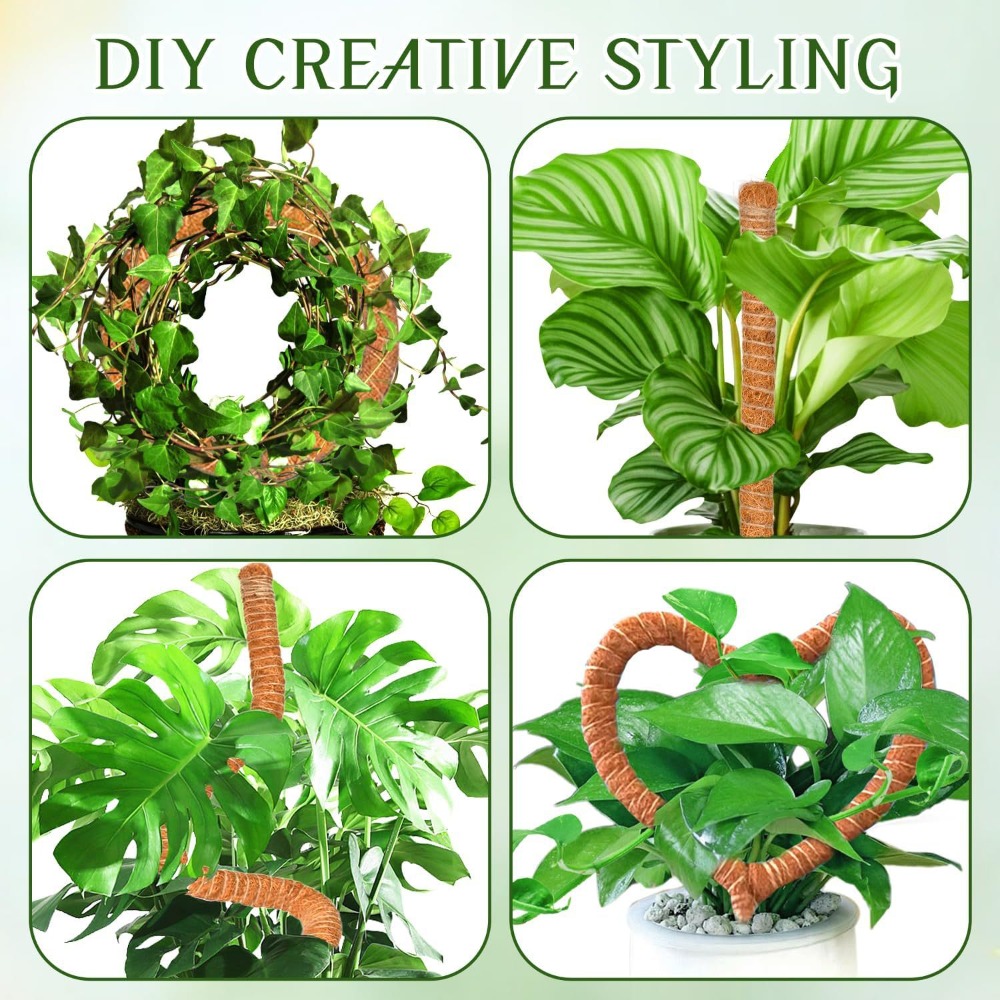 30-100cm Bendable Plants Climb - Monstera Thai Constellation ulasan dan harga