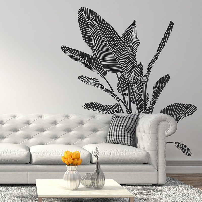Bird Of Paradise Tropical Plan - Monstera Thai Constellation ulasan dan harga