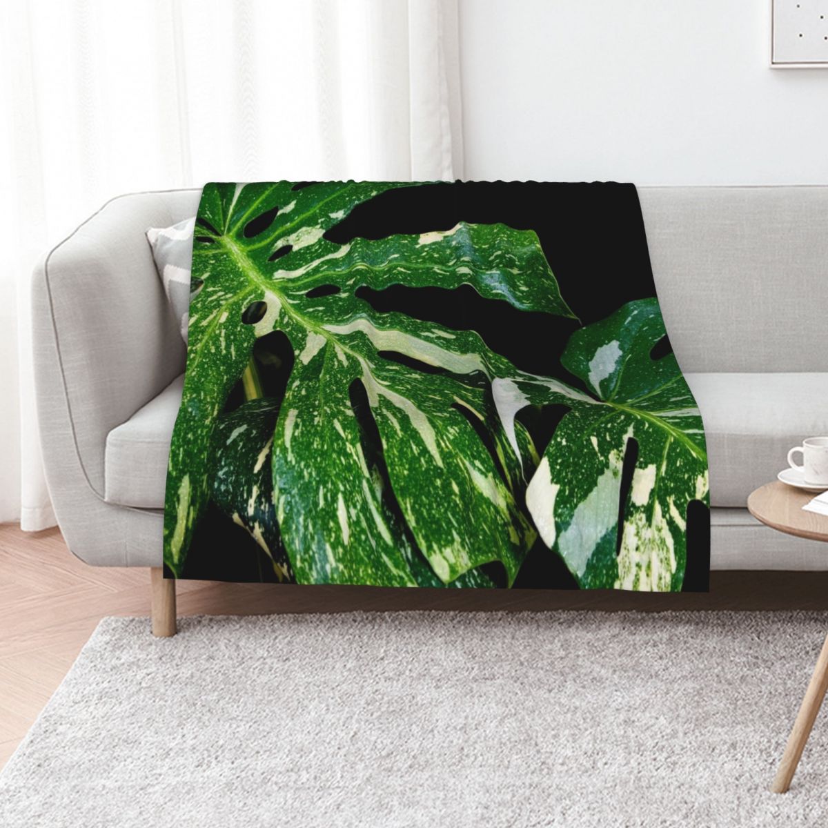 Monstera Thai Constellation Th - Monstera Thai Constellation ulasan dan harga