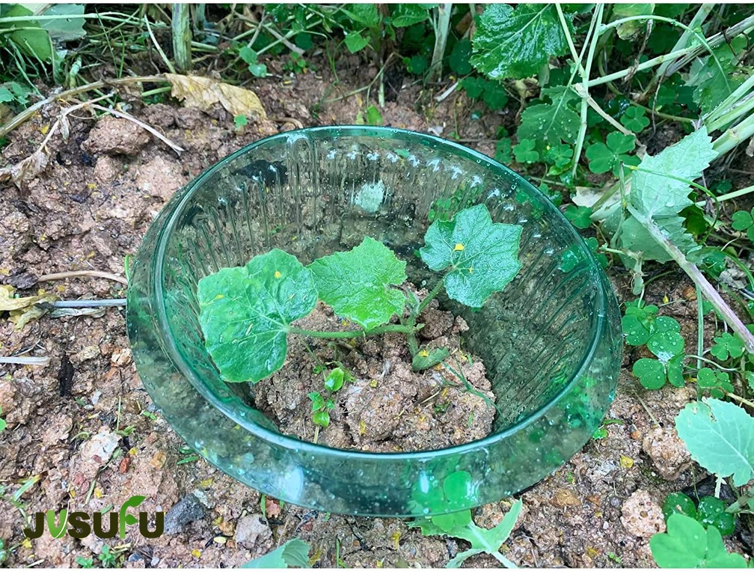 1/30pcs Plants Slug Protection - Plant Parents ulasan dan harga