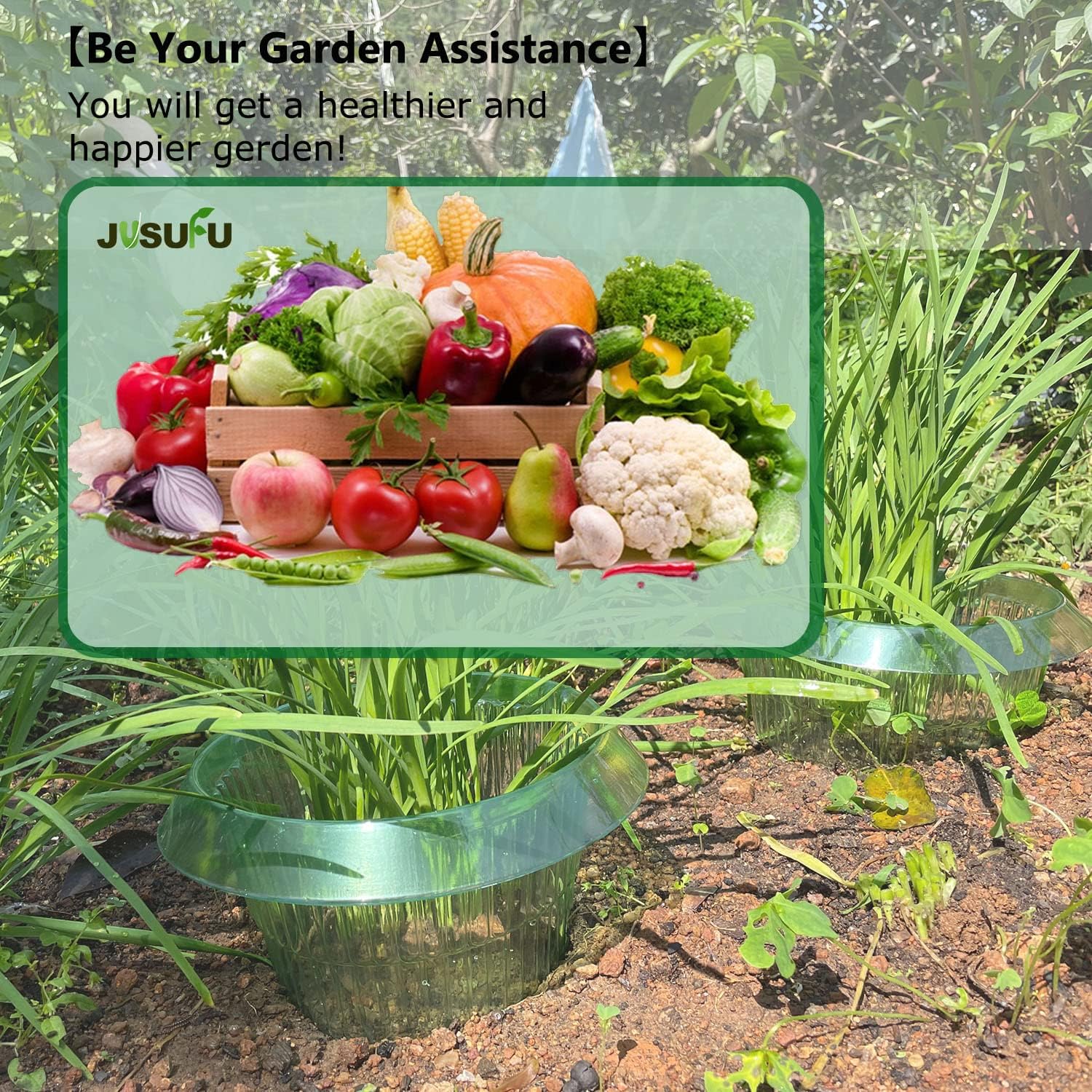 1/30pcs Plants Slug Protection - Plant Parents ulasan dan harga