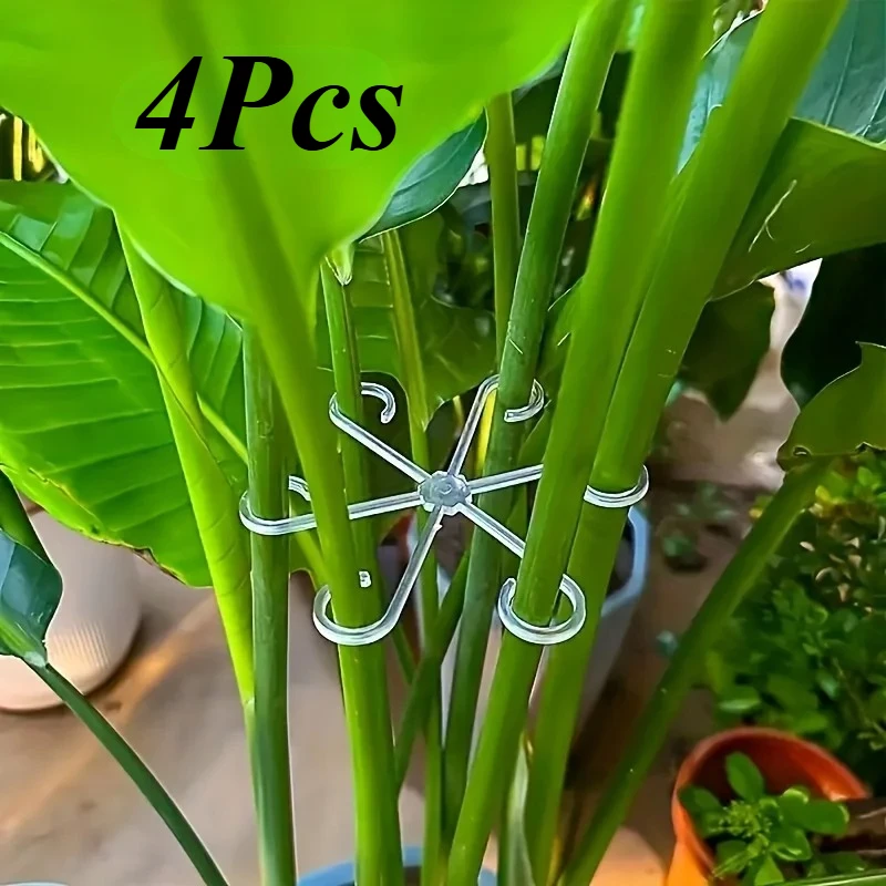 4‑Piece Plant Stem Support Cli - Variegated Monstera Node ulasan dan harga