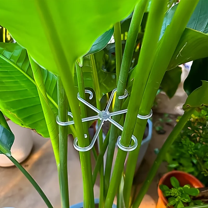 4‑Piece Plant Stem Support Cli - Variegated Monstera Node ulasan dan harga