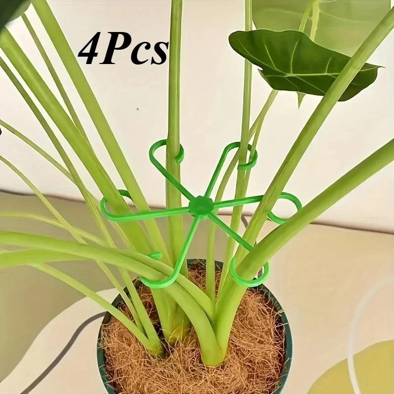 4‑Piece Plant Stem Support Cli - Variegated Monstera Node ulasan dan harga