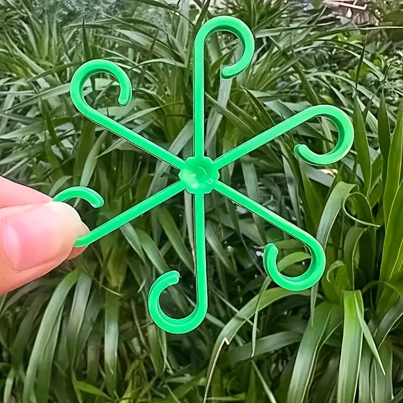 4‑Piece Plant Stem Support Cli - Variegated Monstera Node ulasan dan harga