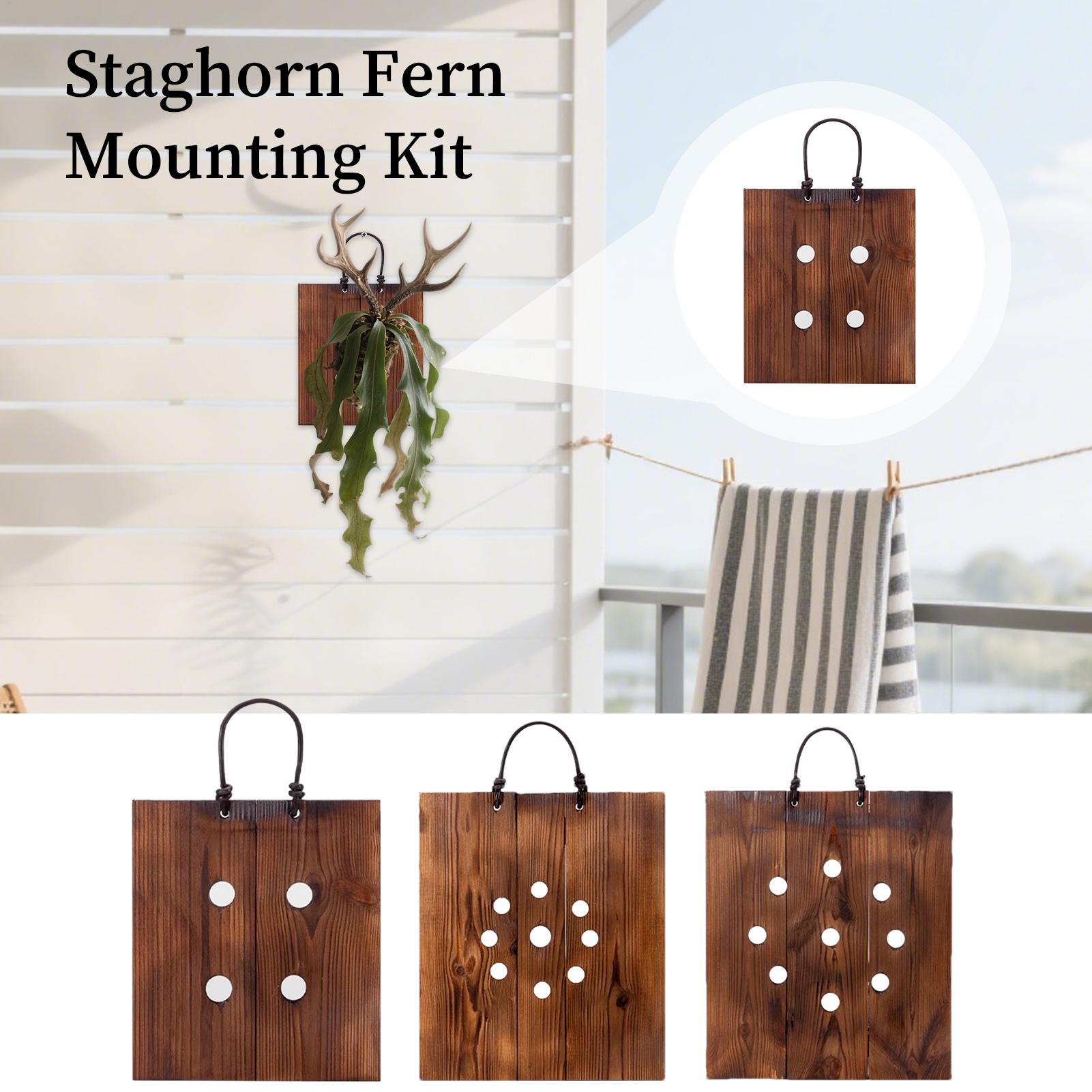 Staghorn Fern Wall Mount Board - Plant Parents ulasan dan harga