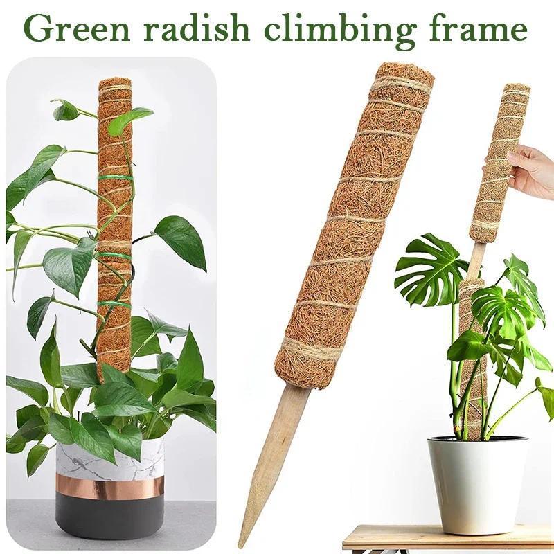 1Pc 30/50cm Plant Climbing Coi - Monstera Thai Constellation ulasan dan harga