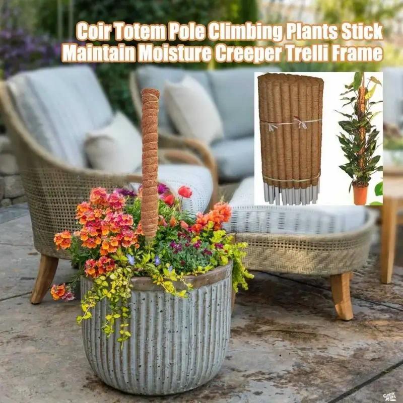 1Pc 30/50cm Plant Climbing Coi - Monstera Thai Constellation ulasan dan harga